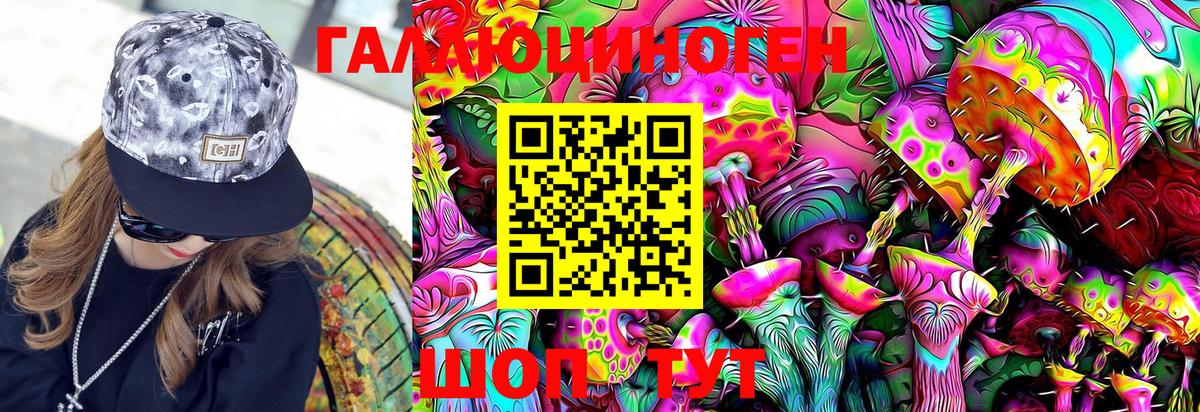 Гусиноозёрск  Галлюциногенные грибы GOLDEN TEACHER  Вход с VPN 