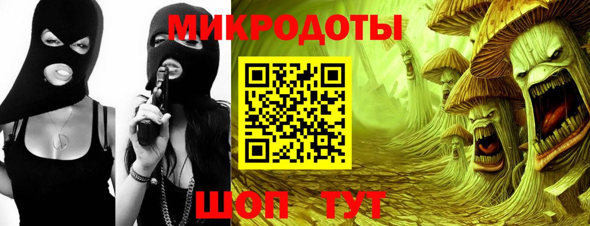 Псилоцибиновые грибы прущие грибы Гусиноозёрск
